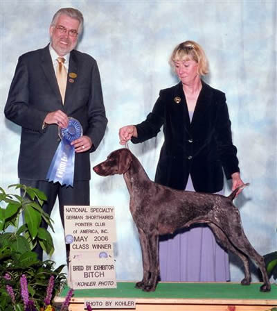 KT Wins BBE Class at 2006 GSPCA National Specialty Show